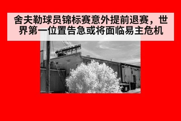 舍夫勒球员锦标赛意外提前退赛，世界第一位置告急或将面临易主危机